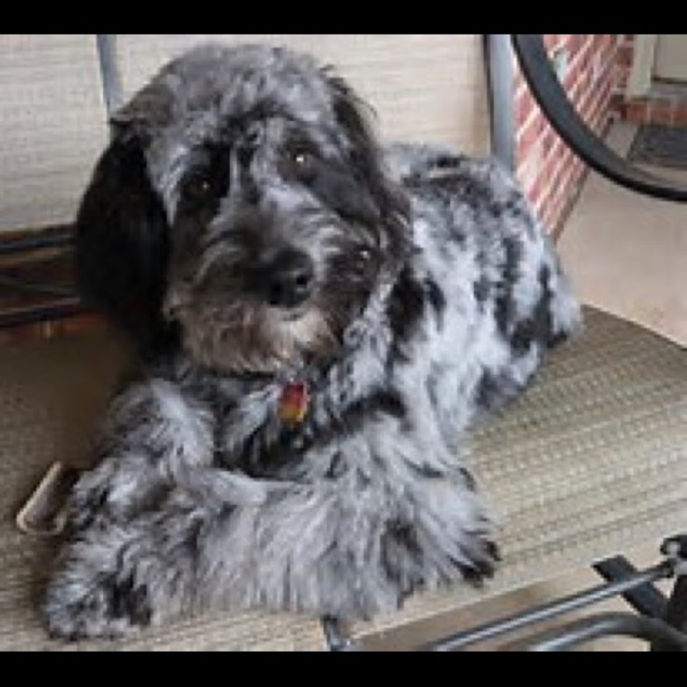 Meet your Posher, Lawrence